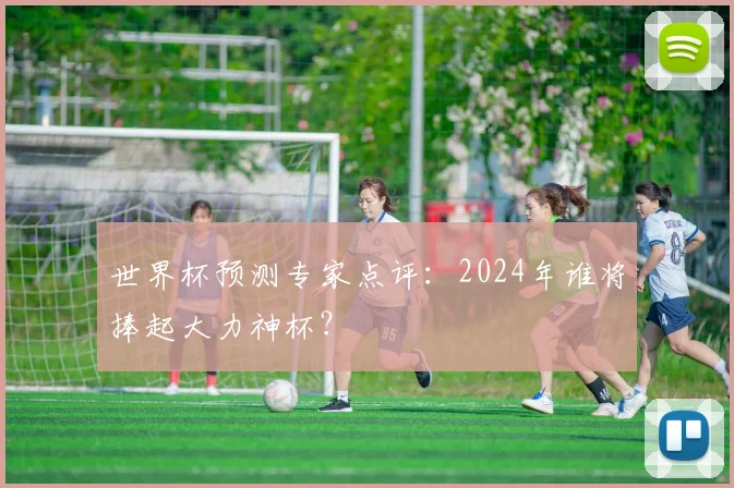 世界杯预测专家点评：2024年谁将捧起大力神杯？