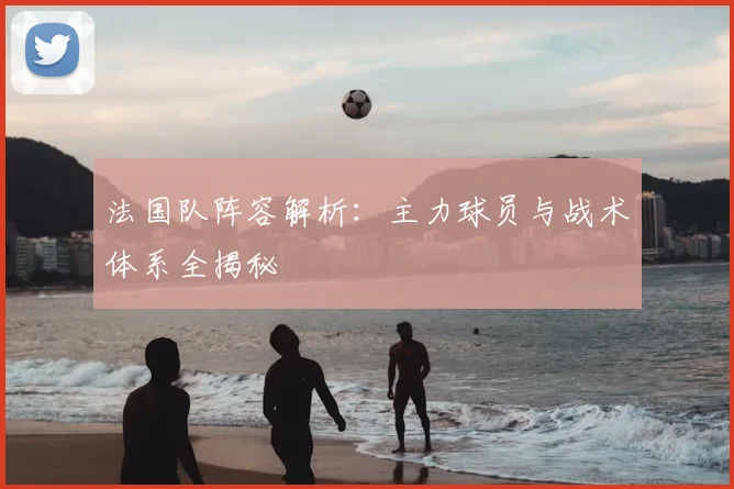 法国队阵容解析:主力球员与战术体系全揭秘
