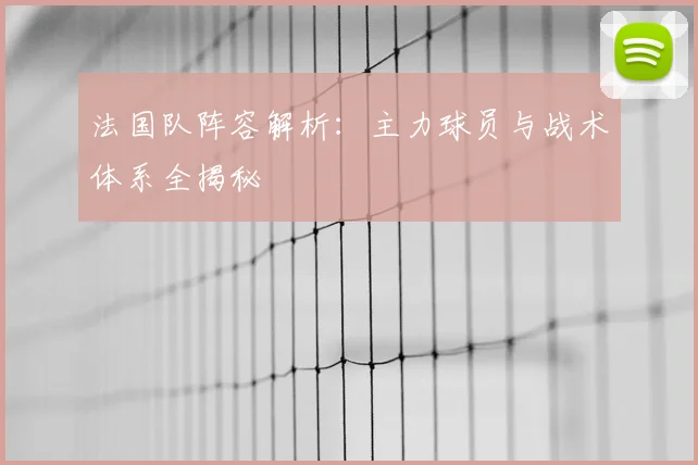 法国队阵容解析:主力球员与战术体系全揭秘